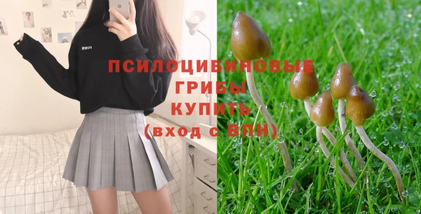 spice Бронницы