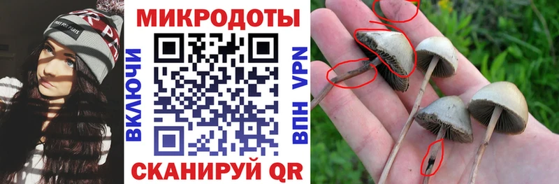 Галлюциногенные грибы мухоморы  Рузаевка 